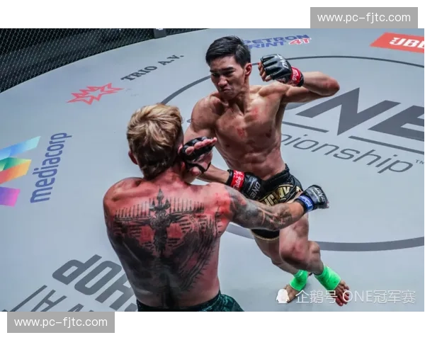 诸神黄昏：当“爱尔兰嘴炮”的左手横扫，撞上“泰拳王子”播求的钢腿